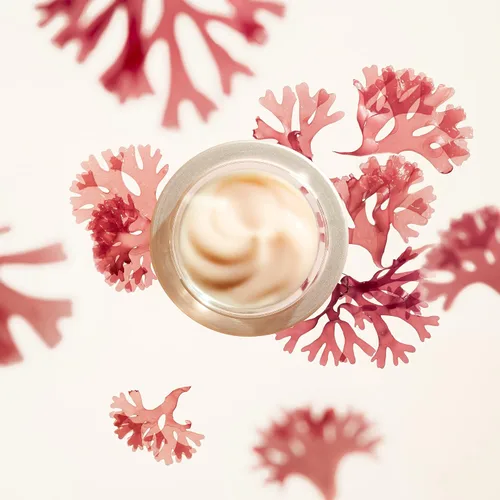 Vista 6 de Shiseido Benefiance Crema suavizante antiarrugas – 1.7 fl oz – Hidratante antienvejecimiento para pieles normales y mixtas – Corrige visiblemente