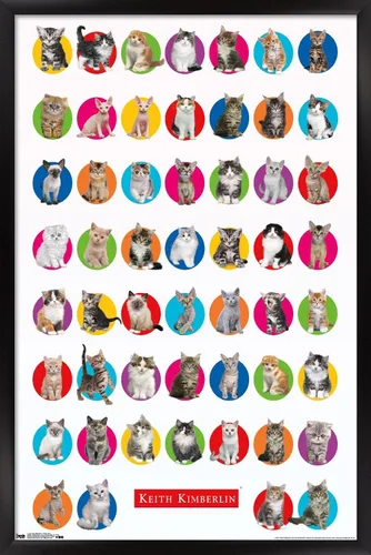 Vista 8 de Trends International Keith Kimberlin - Póster de pared de cuadrícula de gatito, 14.725 x 22.375 pulgadas, versión enmarcada de madera de granero
