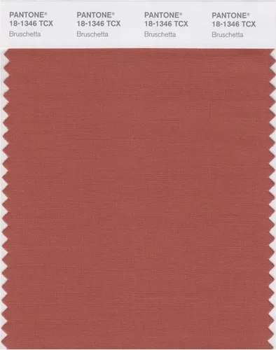 Vista 11 de PANTONE Tarjeta de muestra de color inteligente 18-1314X, bellota