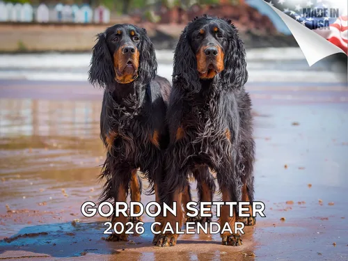 Vista 184 de Calendario de Lebrel Afgano 2025 2026, calendario mensual de pared de raza canina, 12" x 18" abierto, papel grueso sin traspaso, ideal para regalo