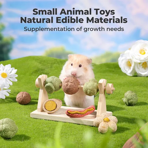 Vista 5 de mini&moe Juguetes masticables de hámster para dientes – Cuinea Pig, masticables y golosinas naturales para enriquecimiento de hámsters, mejoran