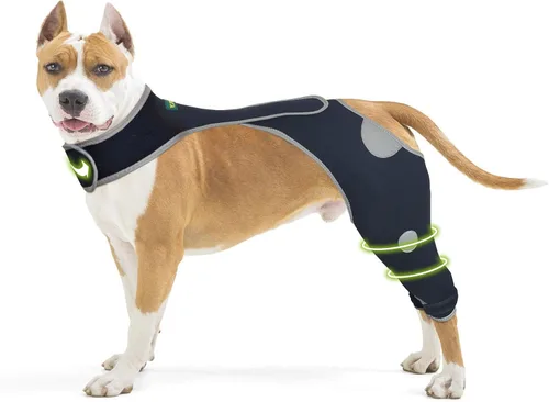Vista 10 de Codera para perro para codo canino y hombro, displasia, osteoartritis, callos de codo, úlceras por presión, coderas de perro para una mejor