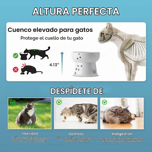 Vista 5 de NECOICHI - Cuenco elevado para agua para gatos, elevado, con líneas de medición, apto para lavavajillas y microondas (gato, extra alto) color blanco