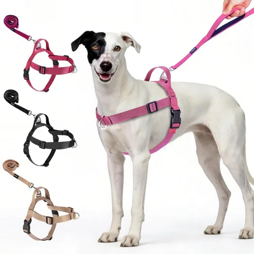 Vista 8 de Annchwool Arnés para perro sin tirones con clip frontal y asa de fácil control, arnés ajustable para el vientre y el pecho y correa para perros