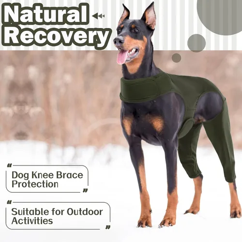 Vista 4 de ROZKITCH Manga para Perro para Patas Traseras, Manga para Mascotas para Evitar que el Perro Lame Heridas, Protector de Codo, Traje de Recuperación