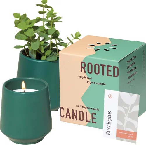 Vista 17 de Modern Sprout Maceta de vela de soja, crece albahaca, aroma a albahaca