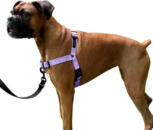 Vista 8 de ShawnCo Dream Walk Arnés para Perros Sin Tirones - Ajustable, Cómodo, Fácil de Usar, Cabestro para Mascotas para Ayudar a Detener los Tirones