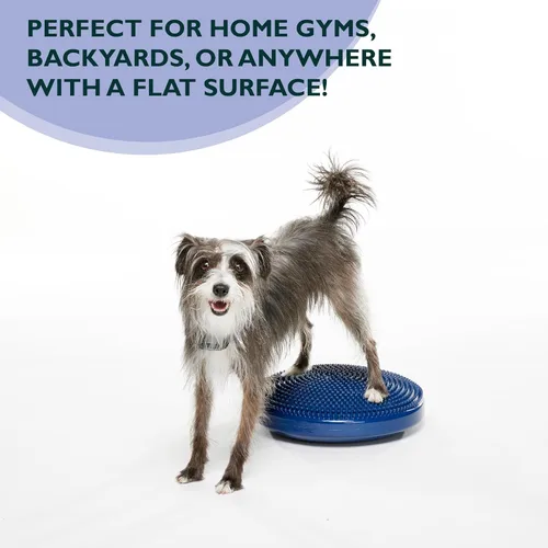 Vista 6 de FitPAWS® Disco de equilibrio para perros, 14 pulgadas, azul, equipo de ejercicio para perros, herramienta de entrenamiento para fuerza, núcleo