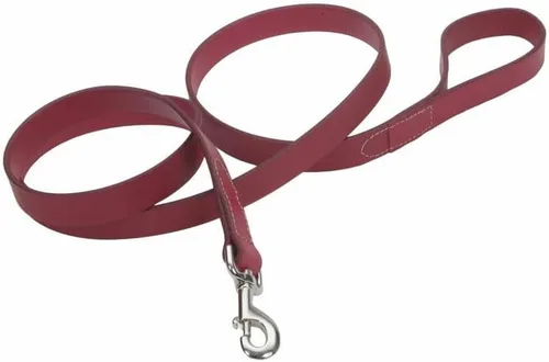 Vista 9 de Coastal Pet Circle T - Correa de piel curtida de roble para perro, accesorio duradero perfecto para entrenamiento de correa, herramienta cómoda