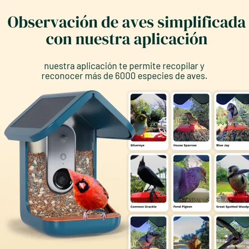 Vista 6 de Birdbuddy PRO Comedero Inteligente para Aves sin Energía Solar con Cámara - Identificación de Especies de Aves por IA, Fotos de 5MP, Cámara