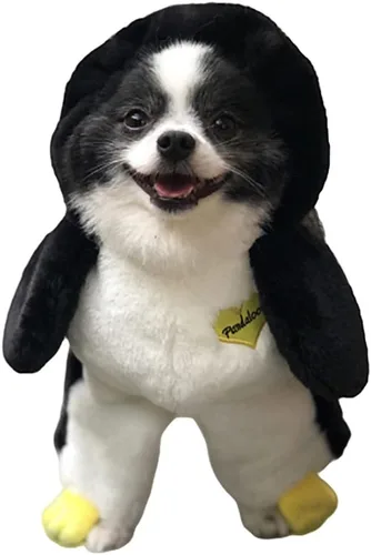 Vista 8 de Pandaloon Disfraz de Halloween para perro, como se ve en Shark Tank, patentado, divertido disfraz con brazos para perros y gatos pequeños y medianos