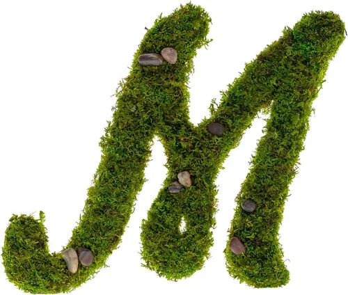 Vista 2 de Iniciales de monograma preservadas Moss Letter Art Design & Decor Arreglo de pared - Personalízalo
