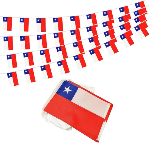 Vista 15 de Bandera argentina de 50 pies con cadena de bandera argentina, mini bandera argentina pequeña, para decoración de fiestas, tiendas y bares