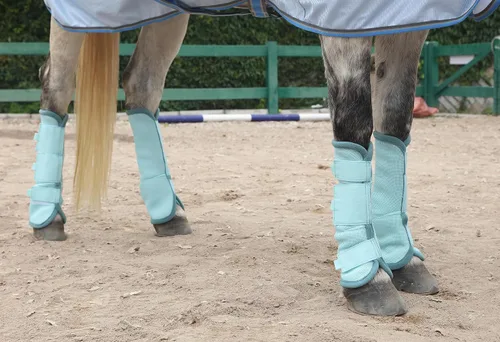Vista 5 de LEAFOREST Juego de 4 botas para mosca de caballo, protección antideslizante para piernas para burro mini pony, botas de malla transpirable para Azul