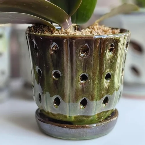 Vista 7 de Macetas para Orquídeas de 4.9 Pulgadas Macetas de Cerámica para Orquídeas con Agujeros Juego de 2 (verde musgo+blanco)
