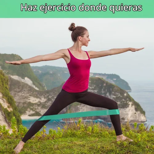 Vista 6 de Desire Deluxe Juego de bandas de resistencia de alta calidad, bandas elásticas de tela para entrenamiento de fuerza, terapia física, pilates y yoga