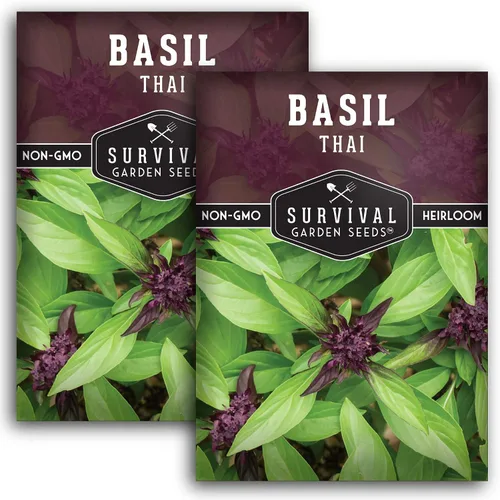 Vista 10 de Semillas de albahaca tailandesa para plantar – Albahaca dulce tailandesa con sabor a anís para cocina asiática – Semillas de hierbas tradicionales