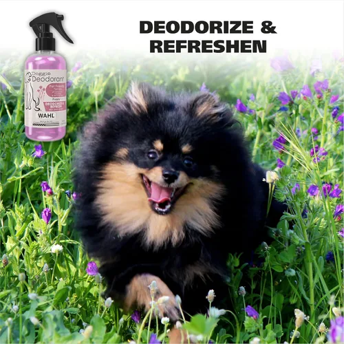 Vista 2 de Wahl USA Desodorante en Spray para Mascotas con Aroma a Aciano para Todos los Perros y Gatos – Olor Fresco y Limpio Refresca y Desodoriza – 8 oz