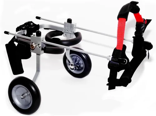 Vista 6 de Silla de ruedas para perro para patas traseras, diseñada y probada por cirujano ortopédico K9, carrito ajustable para cochecito con ruedas todo