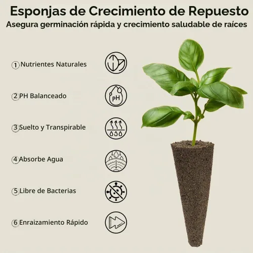 Vista 5 de Kit de semillas de hierbas hidropónicas inbloom para AeroGarden, iDoo, Ahopegarden, GARDENCUBE, 7 vainas