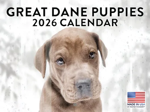 Vista 215 de Calendario mensual de pared Airedale Terrier Dog 2027 rojo (Airedale Terrier)