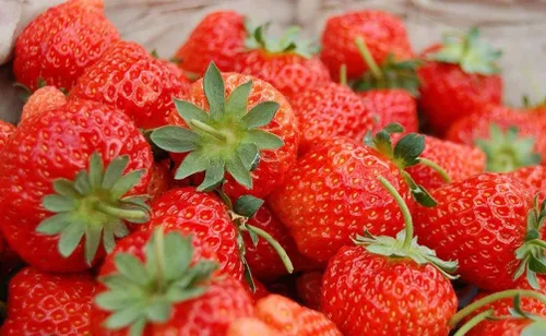 Vista 7 de Fresa 100 piezas Semillas Jardín Fruta Fresca Saludable