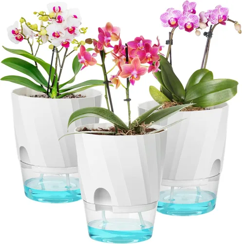 Vista 11 de Macetas de Riego Automático KIMCHOMERSE, Macetas de 6 Pulgadas para Orquídeas, Pack de 3 Macetas para Flores, Macetas para Plantas
