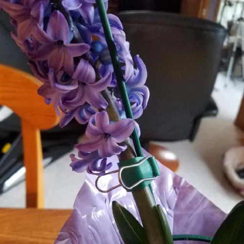 Vista 7 de Clips reutilizables para jardín y cables – Soportes de abrazadera para interiores y exteriores para plantas, cables, cables, tiras de luces