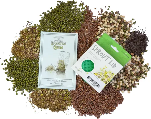 Vista 2 de Handy Pantry Surtidos de semillas orgánicas para germinar – Microgreens, paquete variado de semillas de brotes (paquete de 12 – premedidas)