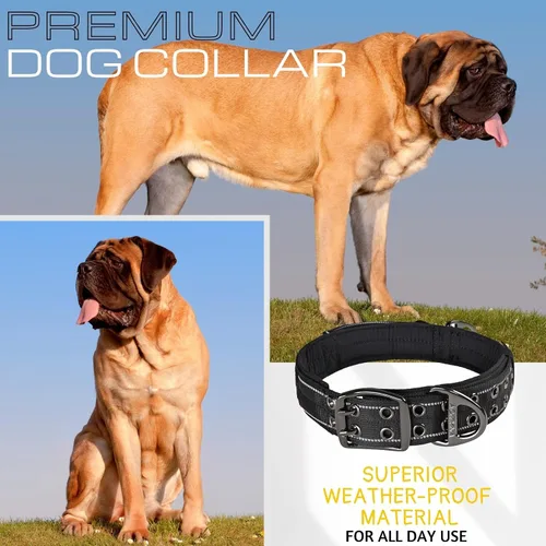 Vista 7 de ADITYNA - Collar de perro resistente con asa, XXL, cuello ajustable de 30 a 36 pulgadas Diseñado exclusivamente para razas de perros enormes como
