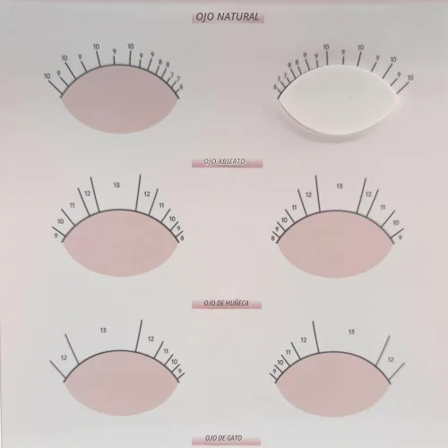 Vista 2 de 20 esponjas de práctica en forma de ojos y 5 hojas de tarjetas de ejercicio de mapeo de pestañas para principiantes de pestañas suministros