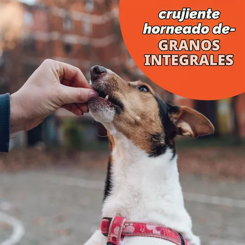 Vista 7 de Buddy Biscuits 8 onzas Caja de golosinas crujientes pequeñas para perros hechas con mantequilla de maní natural