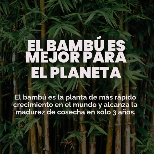 Vista 7 de Save Trees Paquete de 6 toallas de papel de bambú, 750 hojas, ultra absorbentes y duraderas, ecológicas, con certificación FSC, totalmente libres