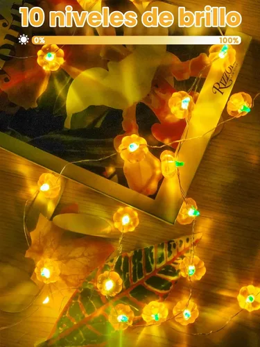 Vista 4 de Paquete de 2 guirnaldas de 30 luces LED de calabaza para decoración de otoño, funciona