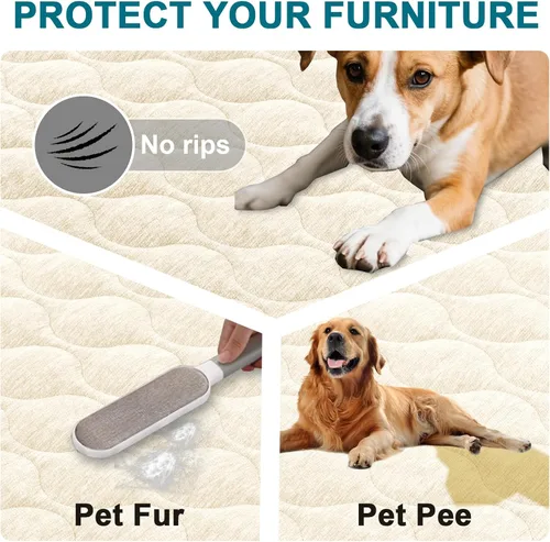 Vista 5 de Gollense Funda antideslizante para sofá para mascotas, funda acolchada de felpilla mullida para perros, lavable, protector suave y apto para Marfil