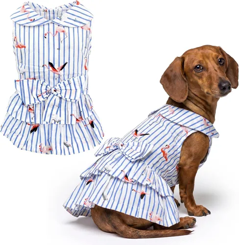 Vista 48 de Parisian Pet Chambray - Vestido para perro - Ligero sin mangas para perro, niña, talla XS Chambray en general