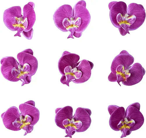 Vista 10 de Cabezales de flores artificiales de seda de Phalaenopsis, cabezas de orquídea mariposa falsas, rellenos de jarrón para el hogar, oficina, boda, Azul
