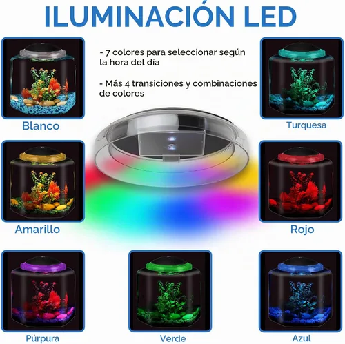 Vista 2 de Koller Products BettaTank hexagonal de 1 galón - Iluminación LED