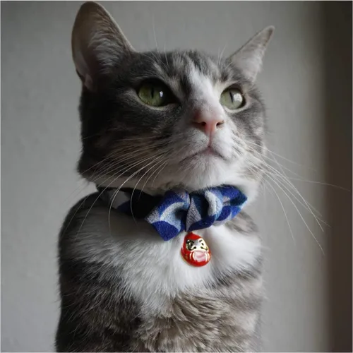 Vista 6 de Necoichi Daruma Charm Pajarita Collar de gato (azul)