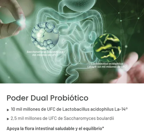 Vista 7 de Probióticos de viaje para la salud digestiva, apoyo inmunológico y diarrea ocasional del viajero Probióticos para la salud intestinal Suplemento