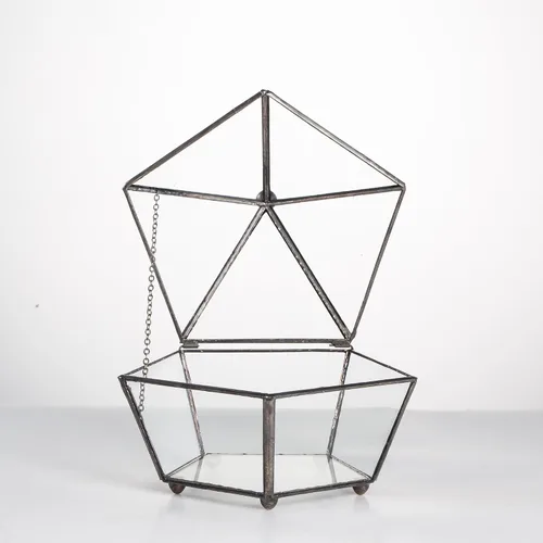 Vista 4 de NCYP Terrario geométrico de vidrio pequeño, contenedor cerrado en caja de joyas, maceta para suculentas, decoración de jardín para interiores