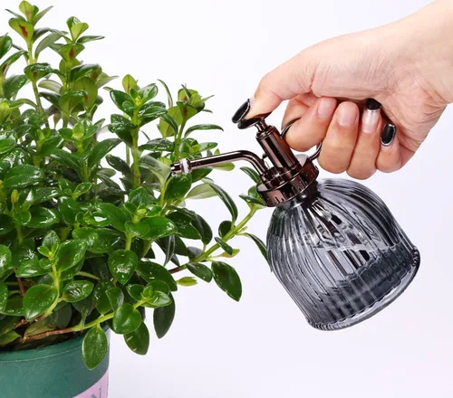Vista 5 de Mister de cristal para plantas, botella de rociador de agua de vidrio verde de 6.5 pulgadas con bomba superior dorada, rociador de plantas pequeñas