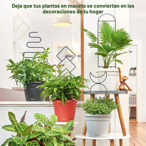 Vista 6 de Wellsign Enrejado de plantas de interior para plantas trepadoras, enrejado de metal de jardín pequeño de 16 pulgadas para plantas en macetas al aire