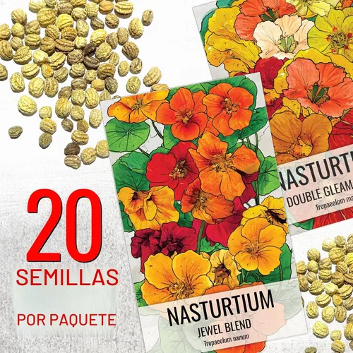 Vista 2 de Seed Needs - Semillas de Capuchina para Plantar Flores Comestibles - Juego de Colección de Mezcla Joya y Capuchinas de Doble Brillo para Atraer