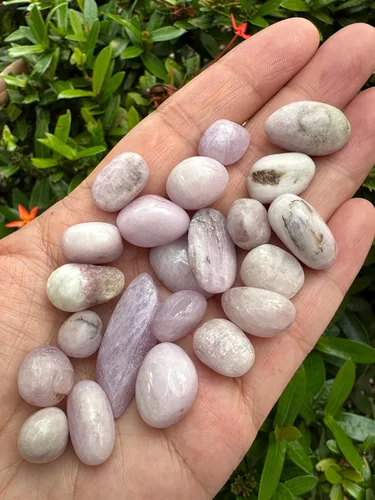 Vista 7 de GAF TREASURES Piedras pulidas de kunzita al por mayor, piedra preciosa natural pulida de la kunzita, rocas pulidas kunzita (Kunzita, 0.25 libras)