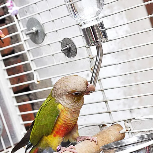 Vista 8 de Botella de agua para animales pequeños, dispensador de agua sin goteo, fuente de hidratación por gravedad, alimentador para perros, gatos, conejos