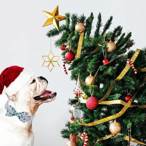 Vista 3 de Collar de Navidad para Perro con Pajarita - Lindo Collar de Cachorro Azul con Patrón Navideño de Cereza y Caramelo, Hebilla de Metal Ajustable