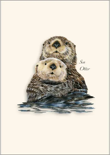 Vista 2 de Earth Sky + Water - Juego de tarjetas de nutria marina II - 8 tarjetas en blanco con sobres