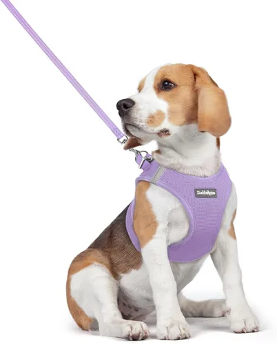 Vista 192 de rabbitgoo Arnés para perro de tamaño pequeño y juego de correa, chaleco Cachorros de manzana