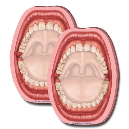 Vista 14 de Notas Adhesivas de Anatomía